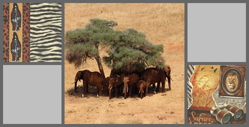 Afrika