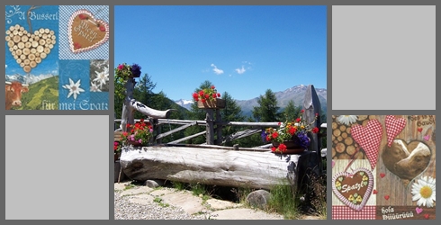 Alpenregion