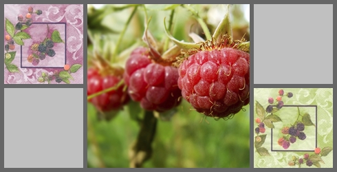 Beerenmix