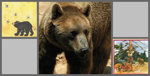 Braunbären