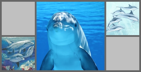 Fische