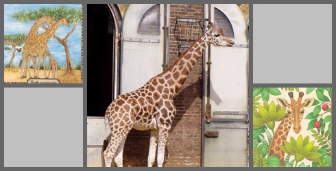Giraffen