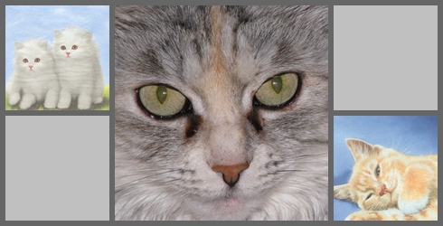 Hauskatzen