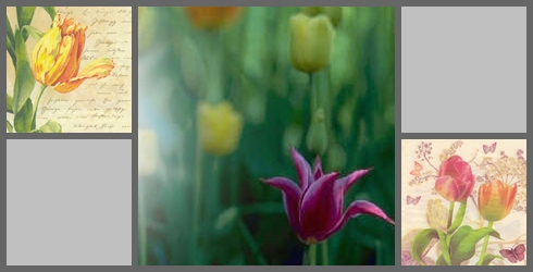Tulpen