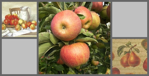 Äpfel_Birnen